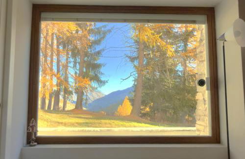 Moda Apartments Serenella - Foto 15