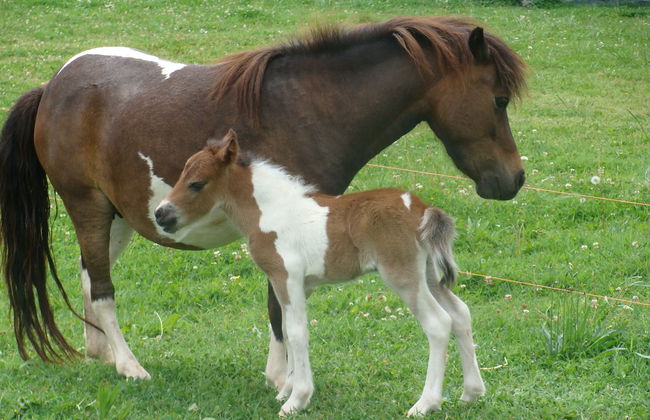 L'Antico Casale dei Sogni - Foto 30