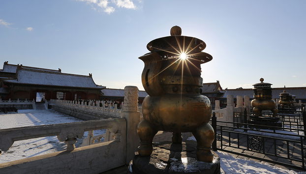 Full Day Tour of Tiananmen Square/Forbidden City/Temple of Heaven/Summer Palace - Private - Foto 2