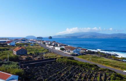 Atlantis Breeze - Photo 51