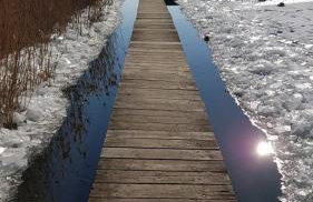 Ferienwohnungen am Malchiner See - Foto 15