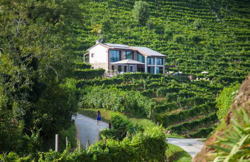 Agriturismo due Carpini - Foto 42