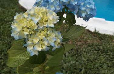 A Casa Do Viso Do Chirin - Foto 22