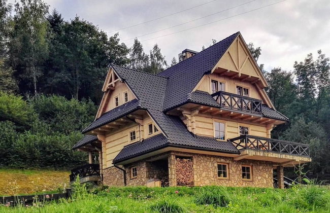 Beautiful Large Villa in Tylmanowa - Photo 24