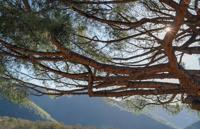 Nonno Luigino - Photo 53