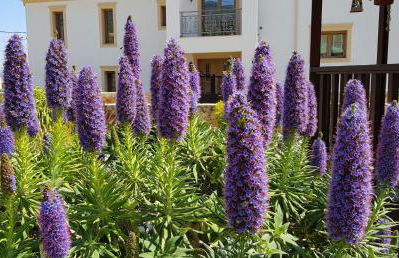 Villa Omega Kefalonia - Foto 29