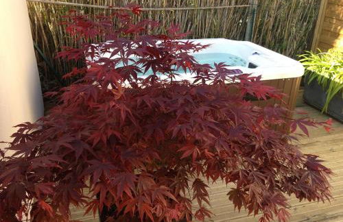 Gîte Les Roseaux Spa extérieur privatif inclus - Foto 17