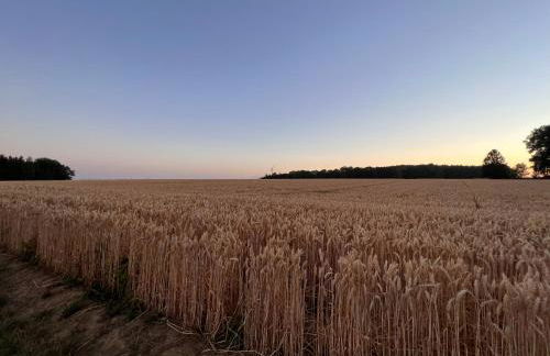 Klosterberghaus - Kontaktloser Check-in - Foto 46