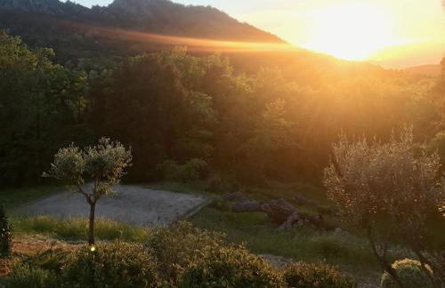 Le Mouron Rouge - Foto 43