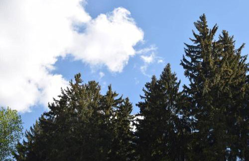 Apartament Śnieżka - Foto 5