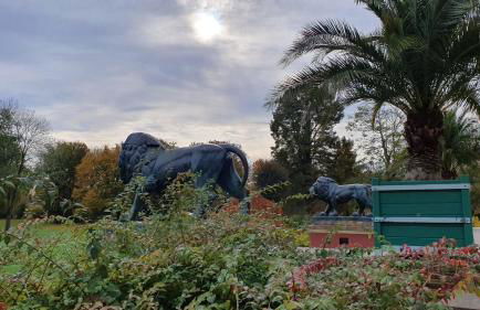 Ferienwohnung,Frühstück gegenüber,Parkplatz kostenlos, zentral Apartment 1 - Foto 16