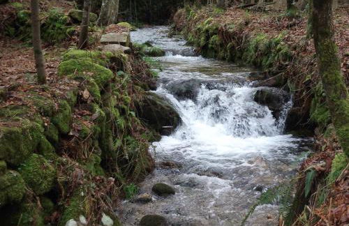 Quinta dos Caibrais - Foto 53