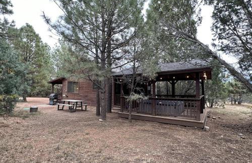 Western theme! Amazing Spa, Fireplace and Deck! - Foto 19