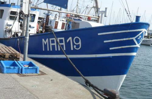 Fewo-Cicilie - Foto 36