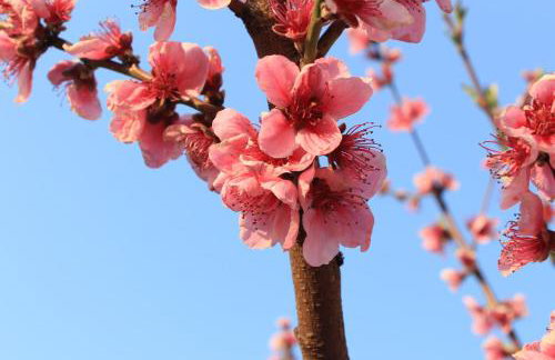 Casa vacanze Ester - Foto 63