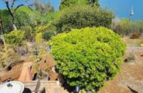 Lake View Home Community Pool in Riviera Heights - Foto 30