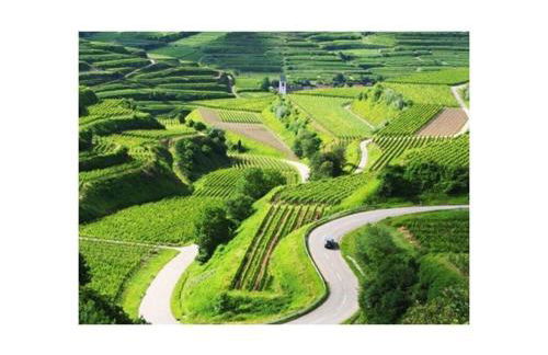 Savoir Vivre Modern Retreat - Foto 45