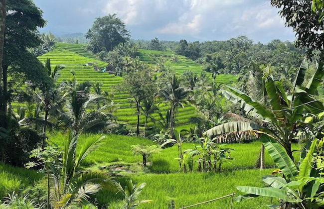 Saridevi Ecolodge Bali - Foto 30