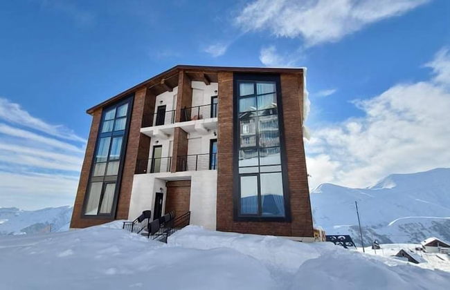 Gudauri Winter House - Foto 25