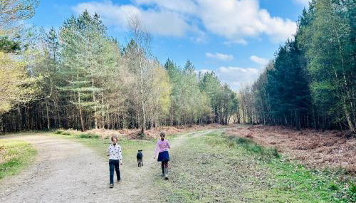 The Old Workshop, Wadhurst - Photo 4