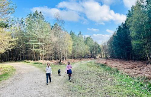 The Old Workshop, Wadhurst - Photo 4