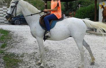 Il Casale Società Agricola Semplice di Barattini Pascucci Doriana e C - Foto 47