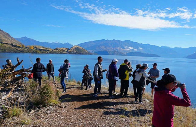 Balade en bateau autour des îles du lac Wanaka - Photo 7