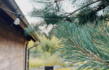 Sosnowe Domki - Photo 46