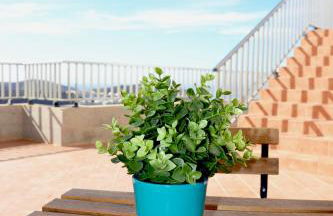 Kos Apartment - Elodie Paradise - Photo 25