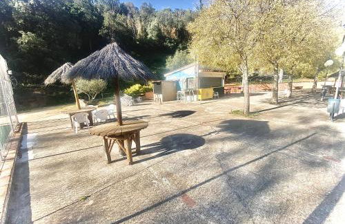 Cala Salions, Amplio Apartamento con visitas al mar Tossa de mar - Foto 14