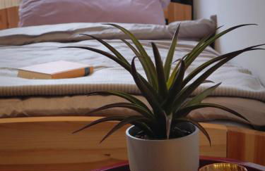 Moderne Ferienwohnung am Rennsteig zum Wohlfühlen - Foto 25