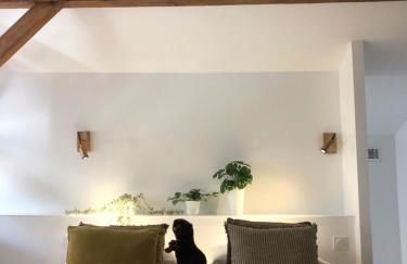 Castor Coquin Aubagne Cassis Aix en Provence - Foto 11