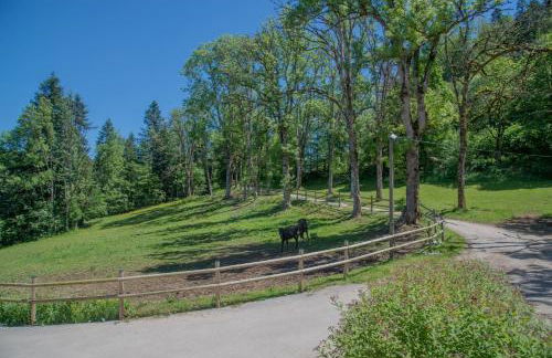 Domaine de Malpas - Foto 7