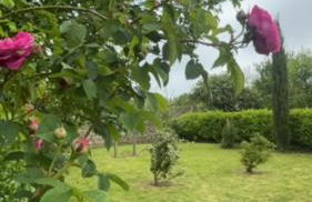 Le Cottage d'Emmy - Rose - Foto 17