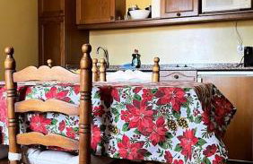 apartamentos turisticos san juan de la peña - Foto 14