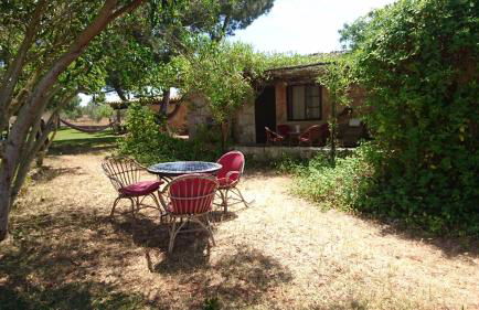 Agroturismo Finca Sant Blai - Photo 79