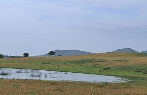 Casa Jasmim - charming houses - Alojamento Local - perto Zambujeira do Mar - Foto 61