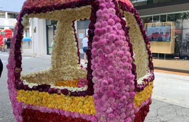 Luchon Holidays, parking, wifi, balcon, cave, T3 8 personnes - Photo 35