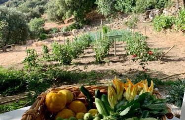 Παραδοσιακός πέτρινος ξενώνας σε φάρμα - Foto 35
