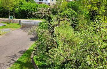 Ferienwohnung zum Sollingtor - Foto 12