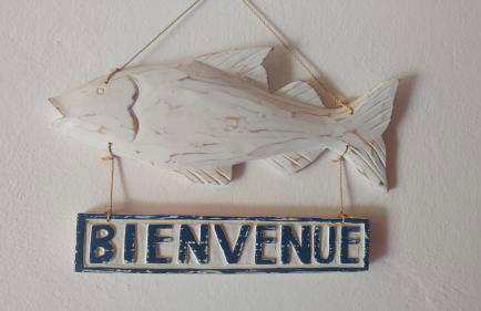 Apartmani Matija - Foto 24