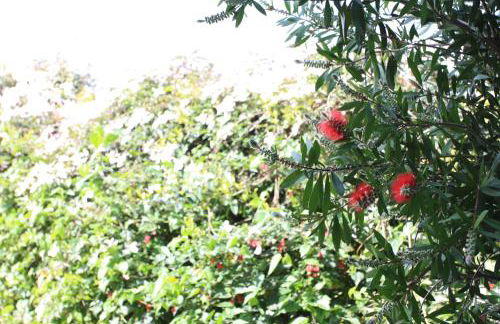 Apartamentos Los Picos - Foto 53