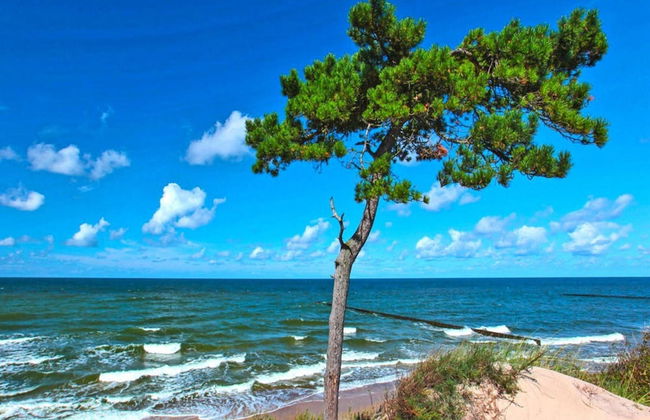 Holiday Homes Close to the Seaside Beach - Foto 21