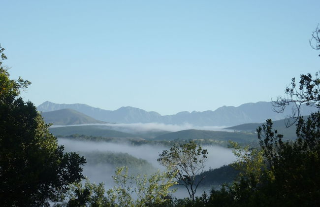 Moon Shine on Whiskey Creek - Foto 52