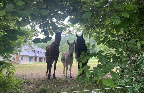 T2 classé 3 étoiles coeur de village et Piscine ext - Foto 47