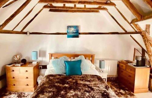 The Nutshell - Foto 23