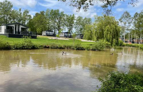 Bumble Lodge New Forest - Foto 63