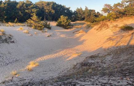 Oasis of Nature - Foto 42