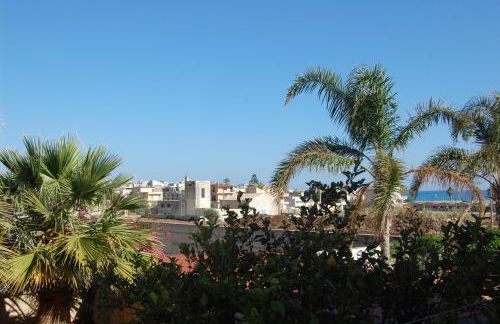 Hibiscus Rosso - Foto 23