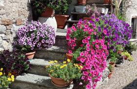 Casa Barbóla - Photo 74